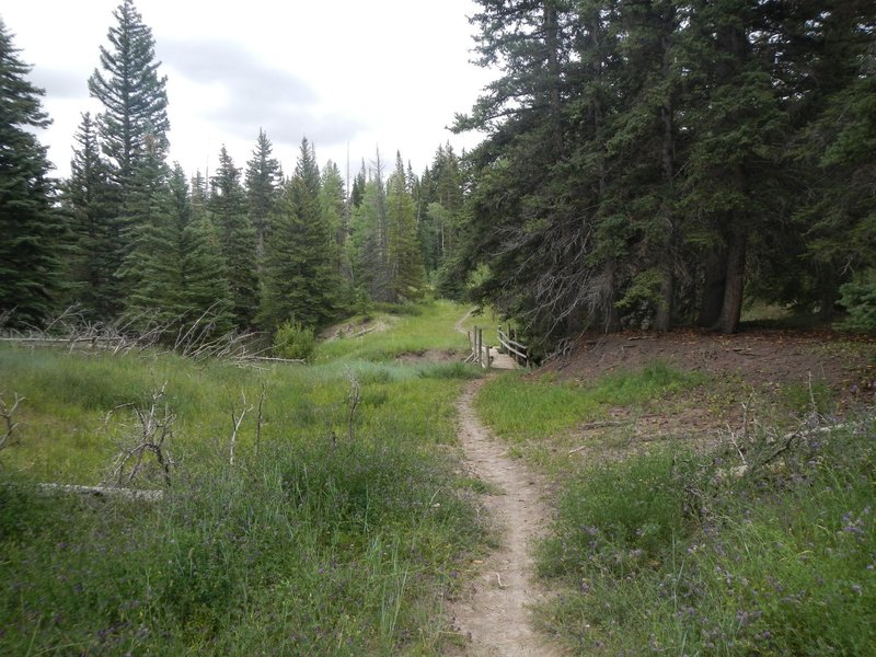 The Josephite Point Trail needed some maintenance in August of 2014 but was generally in good condition and showed signs of regular and adequate upkeep.