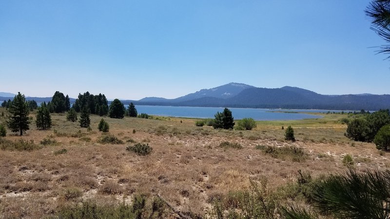 View of Lake Davis from trail.