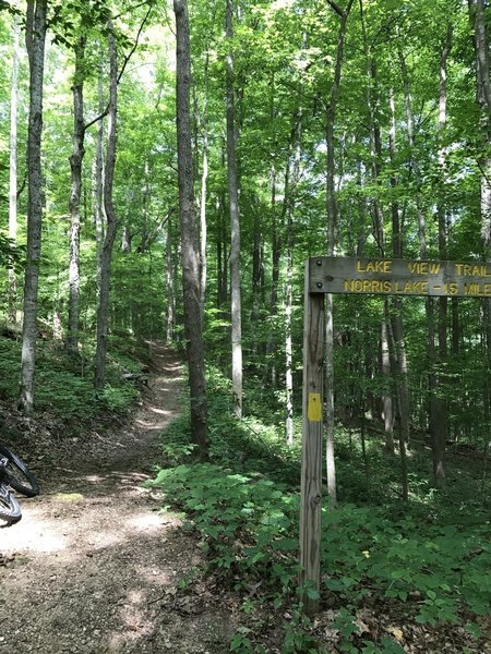 The start of Lake View Trail.