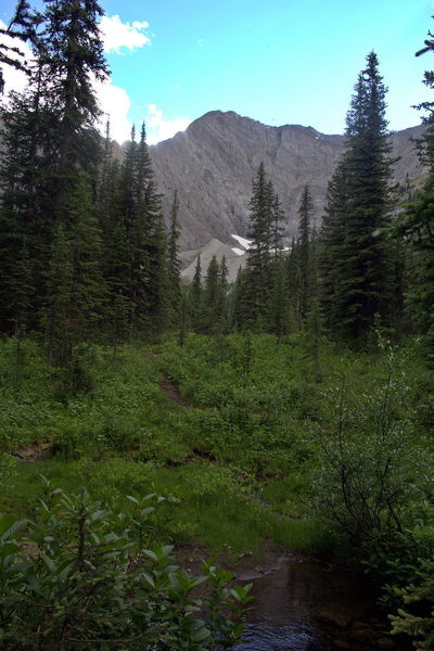 View from the trail approaching Running Rain Lake