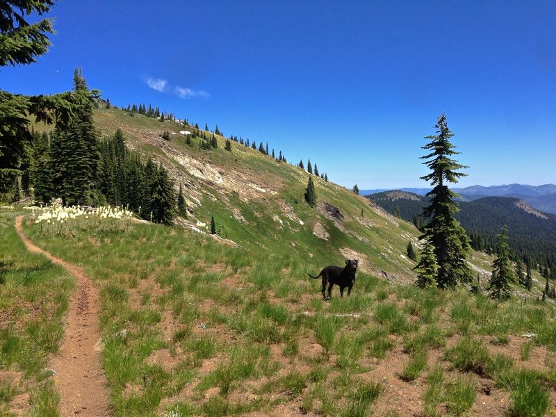 Trail up to Widow Mountain