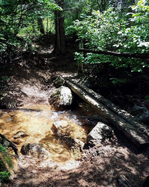 Bear Creek Crossing on Bear Creek Trail (#666).