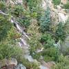 Waterfall near the end of Bear Creek Trail (#666). Follow the "Dead End" trail sign.