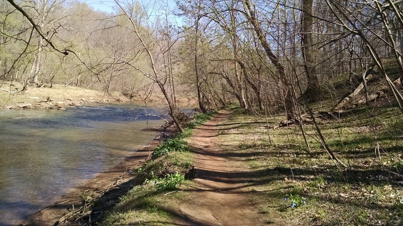 Next to Bull Run on the Bull Run Occoquon Trail