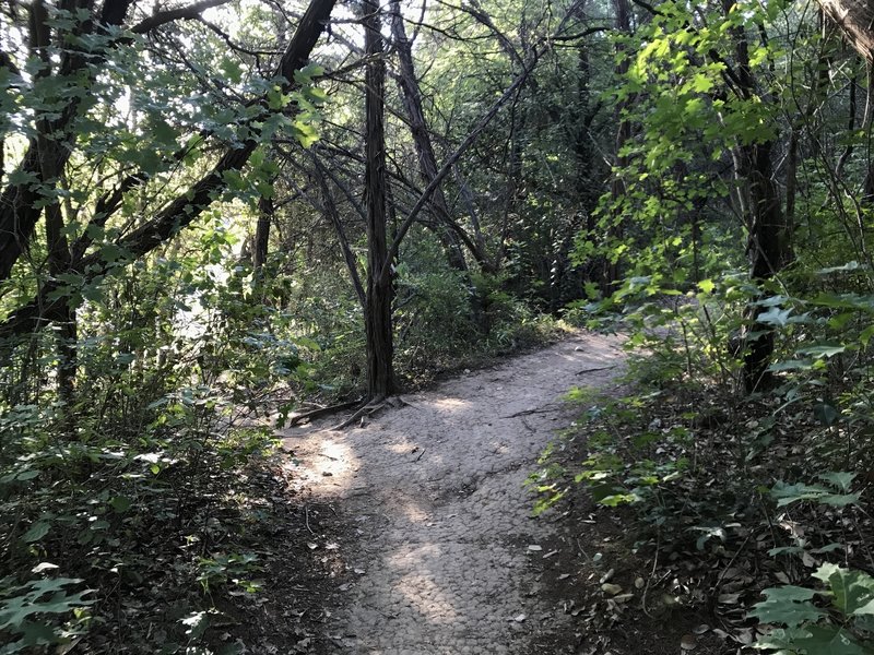 The connector between Barton Creek Trail and the Eagles Landing Loop Trail.