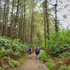 Scenic walk along Bass Lake.