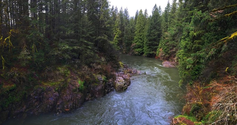 The East Fork of the Lewis River carving its way through the basalt cliffs.