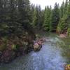 The East Fork of the Lewis River carving its way through the basalt cliffs.