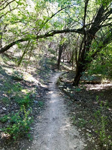 Palos Verdes Trail.... heading towards Hurst Hollow.