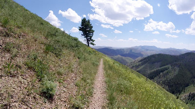 Beware of some coarse and loose gravel along the Cold Springs Trail.