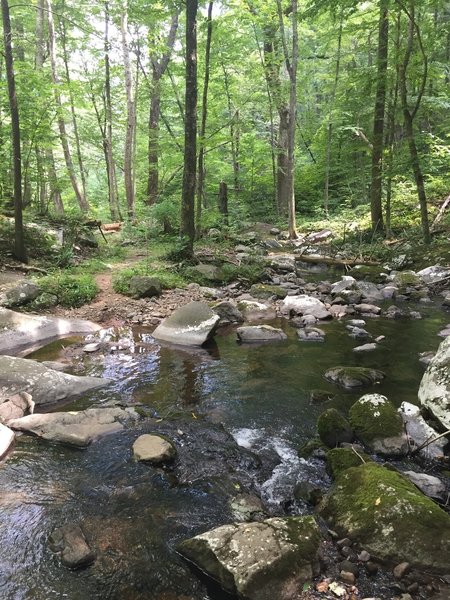 Hiking across the Hazel River during low water season.