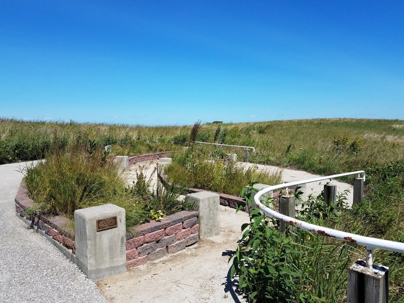 The biology department and volunteers take care of these raised beds along the trail. It is packed with biodiversity.