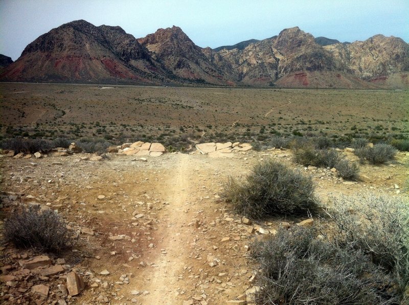 Start of short White Rhino section. Steeper, looser, rockier, funner.