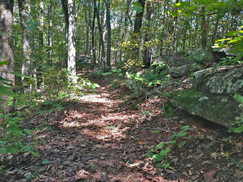 Typical visual along the ridgeline.