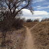 Looking back on the start of the singletrack.