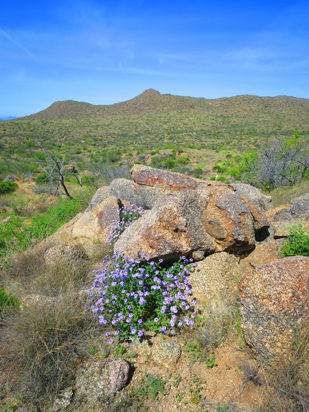 Enjoy loads of scenery from the trail.