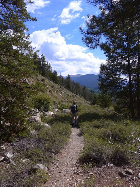 Coming out of the trees towards Arapaho.