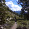 Coming out of the trees towards Arapaho.