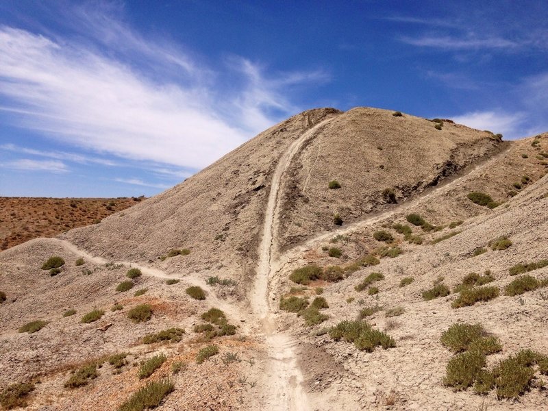 A steep descent on Zippity Do Da.