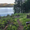 Several times the trail emerges from the forest, offering nice views of Lookout Point Reservoir.