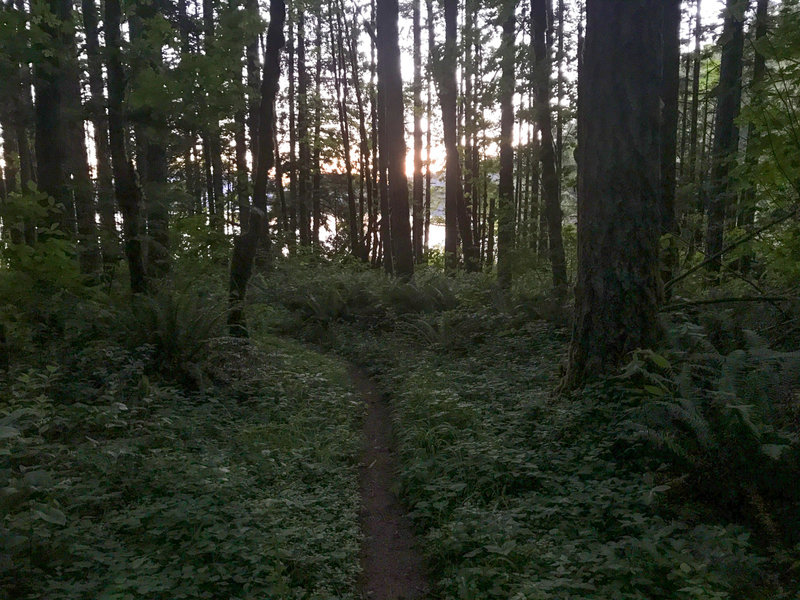 A summer sunset from the east end of the North Shore Trail.