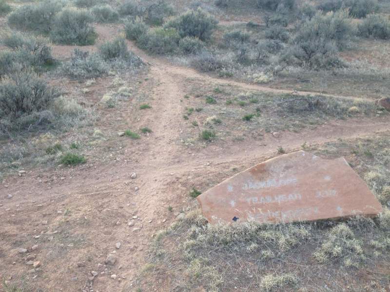 Intersection with the Serendipity Trail.