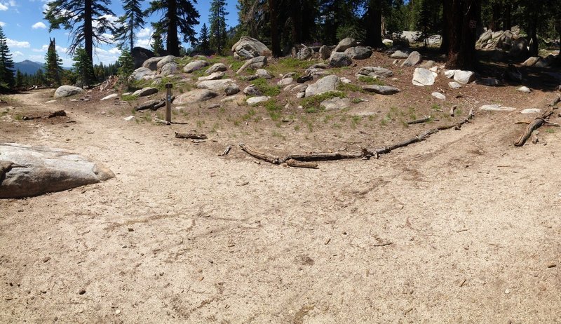 Intersection of Armstrong and Tahoe Rim Trail