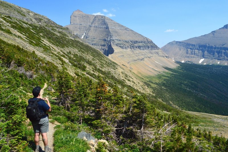 A look back down the trail from close to Piegan Pass.