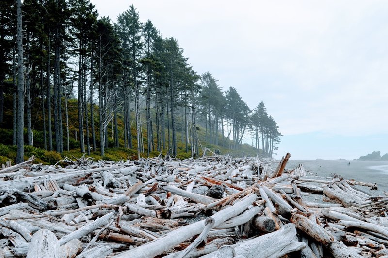 Tons of drift along Ruby Beach.