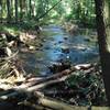 the views from one of the many wooden bridges