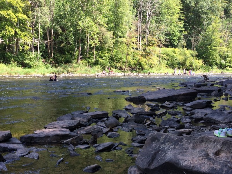 At the base of the trail looking across Pine Creek.