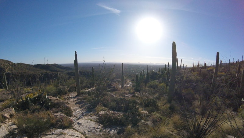 On the home stretch, take a quick second to enjoy your view of the city!