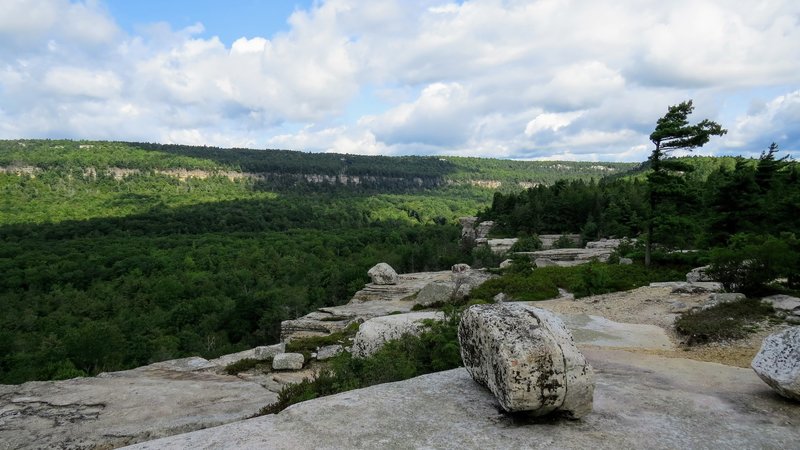 With few trees to act as a wind break, the few that survive on these cliff ledges show how difficult life can be with prevailing winds out of the west.