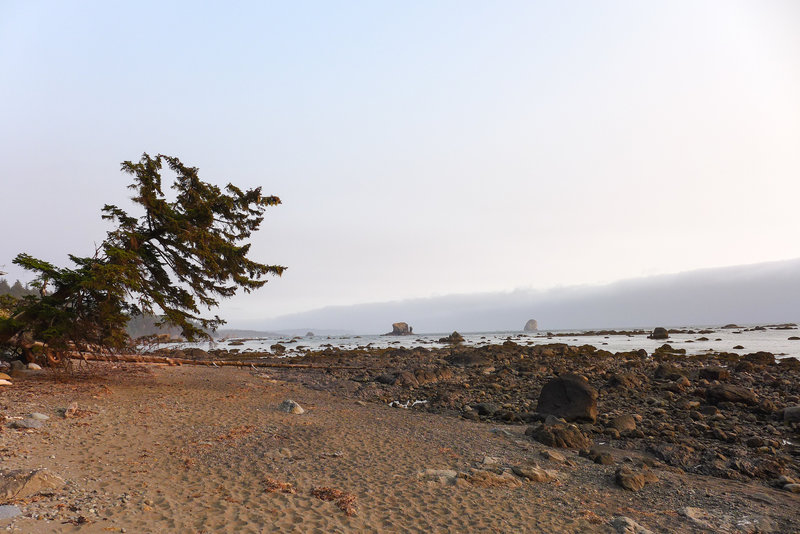 The beautiful Olympic Peninsula coast