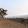 The beautiful Olympic Peninsula coast