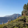 Fallen Leaf Lake from Mount Tallac Trail on a sunny summer morning.