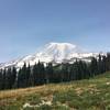 View of Mount Rainier from the Skyline Trail