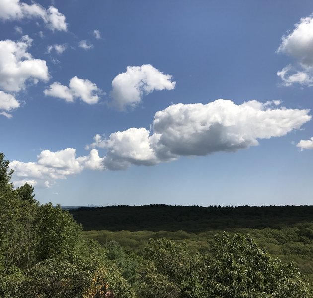 Distant views of the Boston skyline with the Noanet Woodlands in the foreground