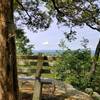 Bench at a beautiful overlook