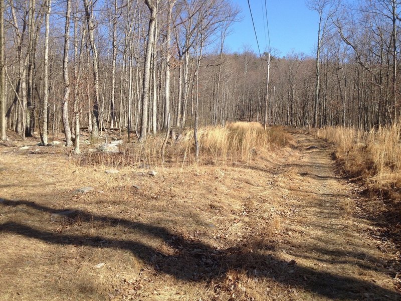 Go straight and you'll be on the Perimeter Trail, turn left here for Grand Boulevard.