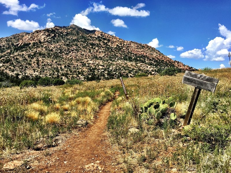 Trail #345 and #347 with Granite Mtn in the background