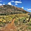 Trail #345 and #347 with Granite Mtn in the background