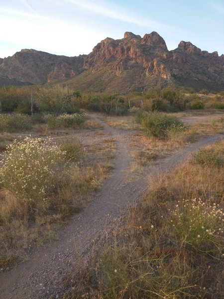 Beautiful views aplenty on the El Baviso loop!