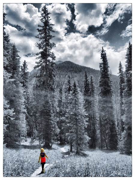 Lower Ice Lake Trail.