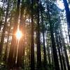 Sunset approaches as I head south of the campground road and just east of Highway 101.