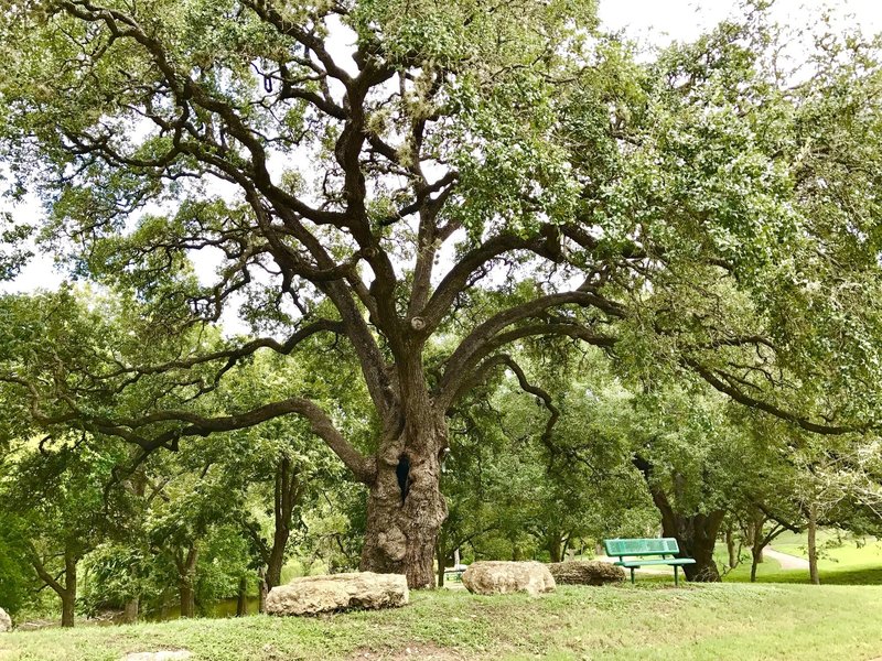 Woodlands Park & Nature Preserve... easy trail loop around the park and creek/lake area.