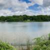 Woodlands Park & Nature Preserve... easy trail loop around the park and creek/lake area.