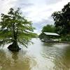 Woodlands Park & Nature Preserve... easy trail loop around the park and creek/lake area.