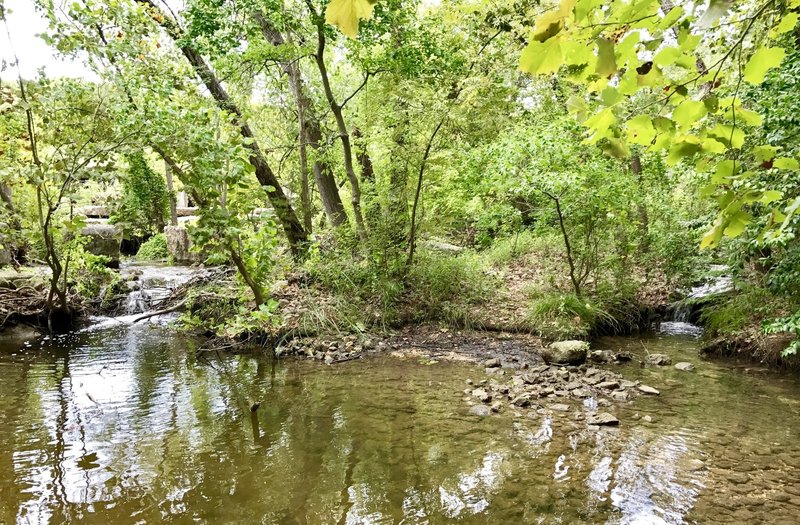 Woodlands Park & Nature Preserve... easy trail loop around the park and creek/lake area.