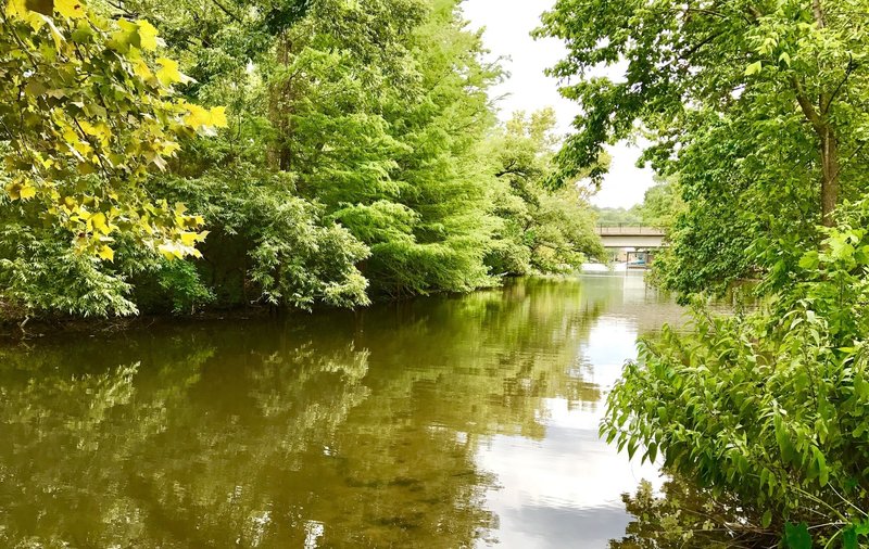 Woodlands Park & Nature Preserve... easy trail loop around the park and creek/lake area.